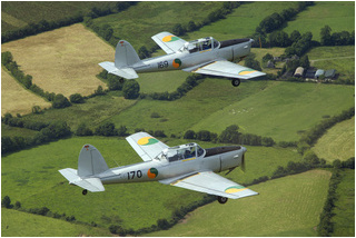 Chipmunks return from their display at Foynes