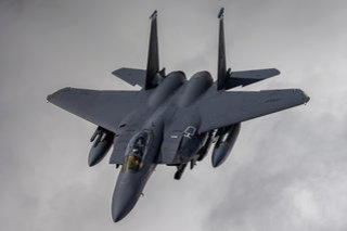 US Air Force McDonnell Douglas F-15E Strike Eagle 91-0318 IM2 8186