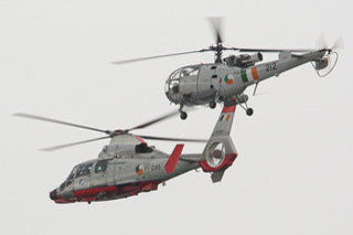 Aerospatiale SA365Fi Dauphin II, 246, Irish Air Corps