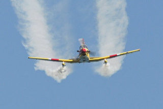 Pilatus PC-7, L-11, Royal Netherlands Air Force