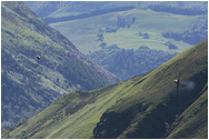 Low Flying Wales, Bwlch, Mach Loop, June 2009