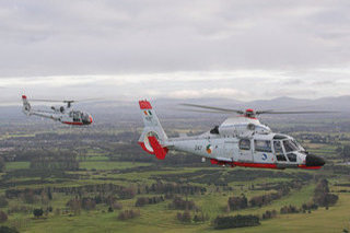 Aerospatiale SA365Fi Dauphin II, 247, Irish Air Corps