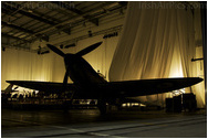 Supermarine Spitfire Replica, Royal Air Force