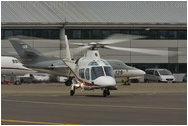 RAF Northolt Photocall June 2009 Arrivals Day
