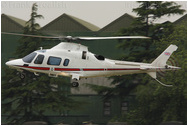 RAF Northolt Photocall June 2009 Arrivals Day