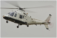 RAF Northolt Photocall June 2009 Arrivals Day