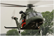 RAF Northolt Photocall June 2009 Arrivals Day