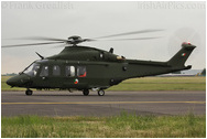 RAF Northolt Photocall June 2009 Arrivals Day