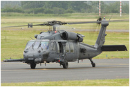 RAF Northolt Photocall June 2009 Arrivals Day