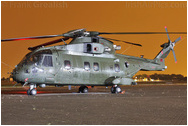 RAF Northolt Photocall June 2009 Arrivals Day