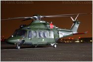 RAF Northolt Photocall June 2009 Arrivals Day