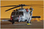RAF Northolt Photocall June 2009 Arrivals Day