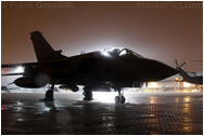 RAF Northolt Photocall June 2009 Arrivals Day