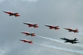 Northrop F-5E Tiger II, J-3086, Swiss Air Force