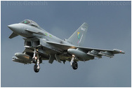 Royal International Air Tattoo 2008, RAF Fairford, UK - England