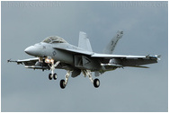 Royal International Air Tattoo 2008, RAF Fairford, UK - England