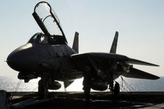 Grumman F-14DR Tomcat, 161163, US Navy