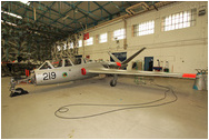 Fouga CM170 Magister, 219, Irish Air Corps
